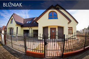 Bliźniak